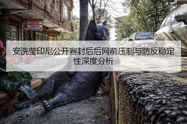 安洗莹印尼公开赛封后后网前压制与防反稳定性深度分析